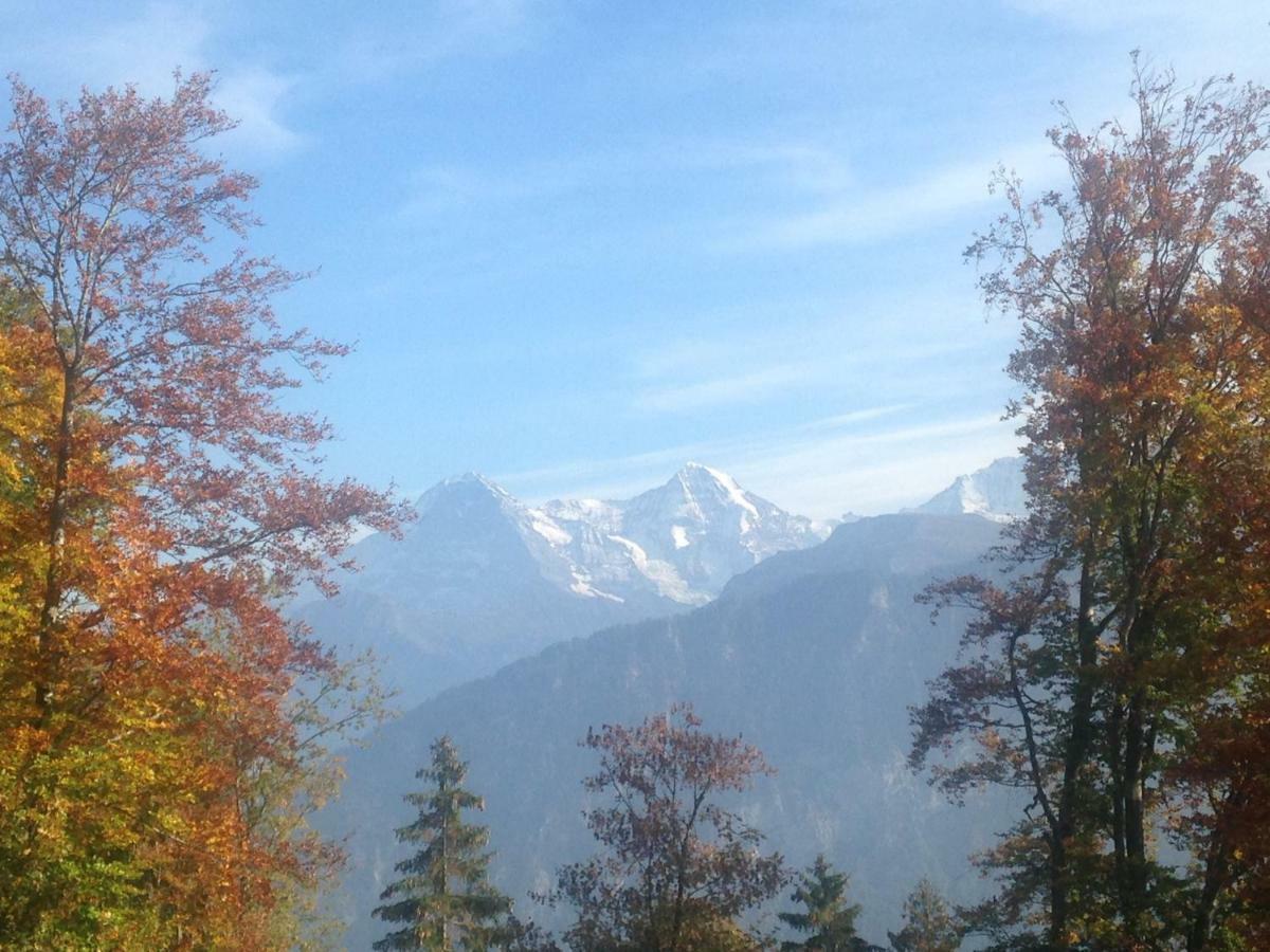 App. Seeblick Top Of Interlaken Beatenberg Exteriör bild