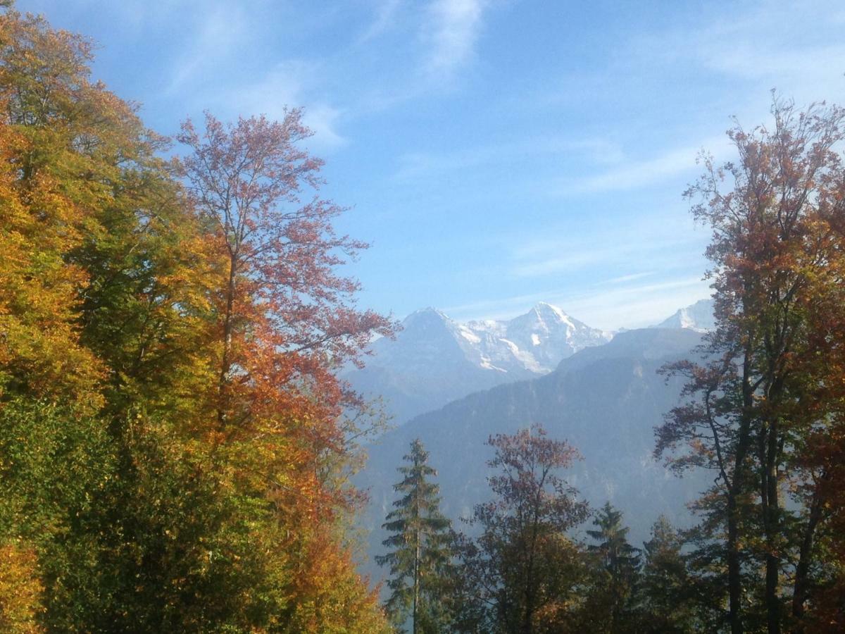 App. Seeblick Top Of Interlaken Beatenberg Exteriör bild