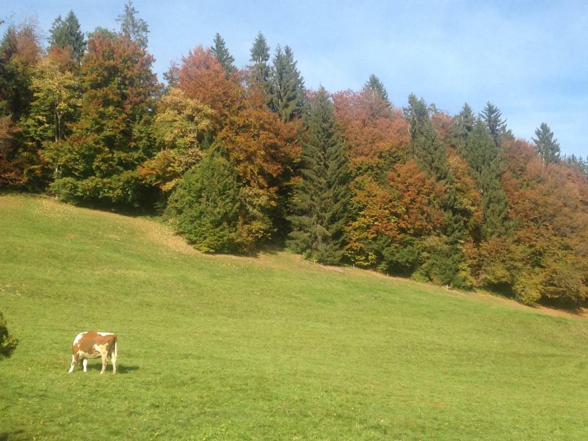 App. Seeblick Top Of Interlaken Beatenberg Exteriör bild