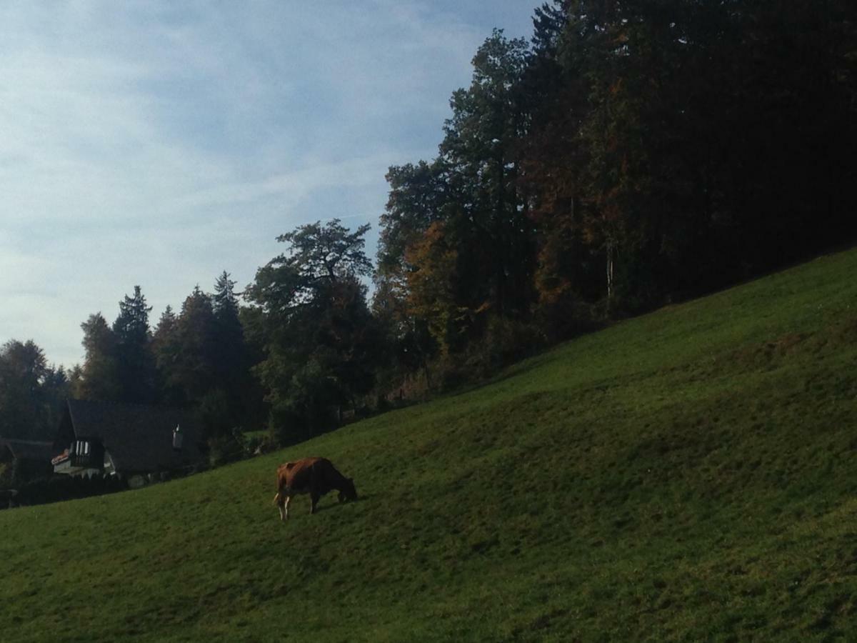 App. Seeblick Top Of Interlaken Beatenberg Exteriör bild